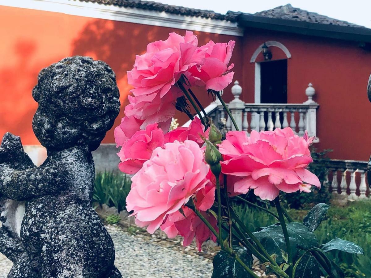 Charme Of Villa Capannina Novi Ligure Bagian luar foto